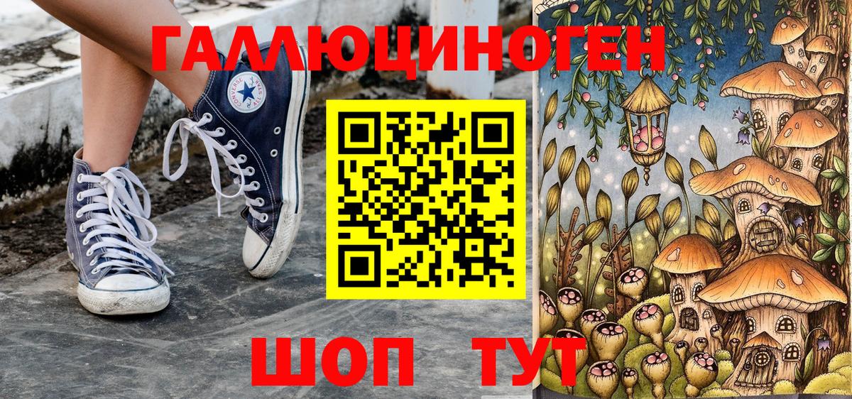 Александров  закладки  Вход с VPN  Галлюциногенные грибы Cubensis 